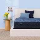 Perfect Sleeper 2023 Dazzling Night Medium Tight Top 12" Profile