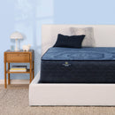 Perfect Sleeper 2023 Euphoric Nights Plush Tight Top 14" Profile