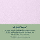 SALE Dream Weaver 2024 Quilted Ultra Plush Pillow Top 14.25" Profile