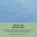 SALE Dream Weaver 2024 Quilted Ultra Plush Pillow Top 14.25" Profile