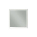 Winners Only Tamarack Dresser Mirror BTP1009 IMAGE 1