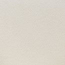 Zuo Essen Dining Chair 110101 IMAGE 7