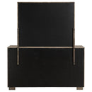  Coaster Furniture Durango 223273M 8-Drawer Dresser and Mirror - Taupe Oak IMAGE 6