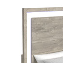  Elements International San Matteo B-16010-7-QBL Queen Bed IMAGE 4