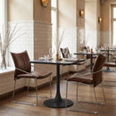  Zuo Pola 110870 Set of 2 Dining Chair - Brown IMAGE 8