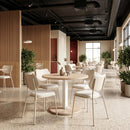  Zuo Zeal 110864 Set of 4 Dining Chair - Light Gray/Beige IMAGE 13