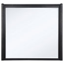  Coaster Furniture Leandro 222494 Dresser Mirror - Burnished Black IMAGE 1