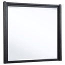  Coaster Furniture Leandro 222494 Dresser Mirror - Burnished Black IMAGE 2