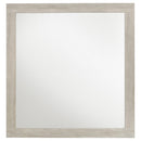  Coaster Furniture Trenton 225064 Dresser Mirror - Rustic Cream IMAGE 2