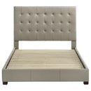  Coaster Furniture Medley 315911TANQ Genuine Leather Queen Panel Platform Bed - Tan IMAGE 4