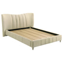  Coaster Furniture Evelyn 315956Q Upholstered Queen Panel Platform Bed - Ivory IMAGE 1