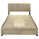  Coaster Furniture Wheatland 316010Q 4-drawer Upholstered Queen Storage Bed - Light Brown IMAGE 7