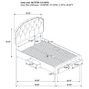  Coaster Furniture Marianna 316011Q 4-drawer Upholstered Queen Storage Bed - Cream IMAGE 13