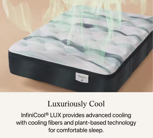 Anchor Island Firm Queen Mattress (Floor Model)