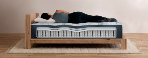 Anchor Island Plush Queen Mattress (Floor Model)