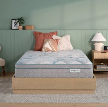 Dream Weaver 2024 Quilted Ultra Plush Pillow Top 14.25" Profile