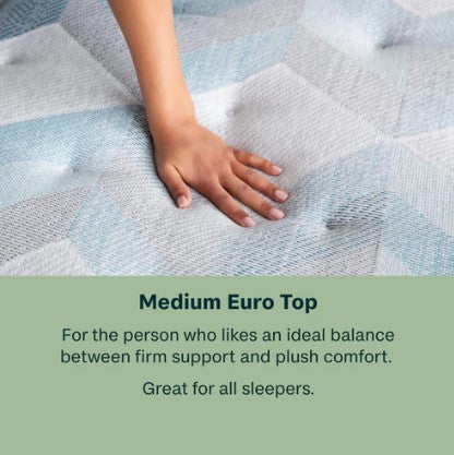 Dream Weaver 2024 Quilted Medium Euro Top 12.25" Profile