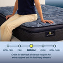 Perfect Sleeper 2023 Cobalt Calm Medium Pillow Top 14.5" Profile