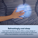 Perfect Sleeper 2023 Dazzling Night Medium Tight Top 12" Profile