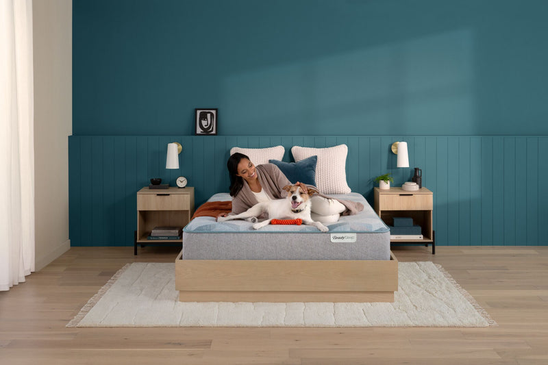 SALE Dream Weaver 2024 Quilted Plush Tight Top 13.75" Profile