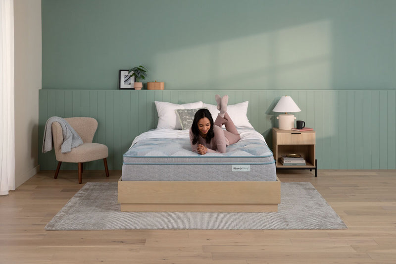 SALE Dream Weaver 2024 Quilted Ultra Plush Pillow Top 14.25" Profile