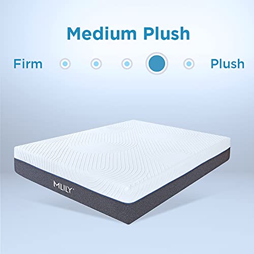 MLILY Fusion Luxe