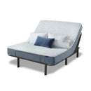 Nestled Night Medium Firm 10" Profile