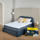 Nestled Night Medium Firm 10" Profile