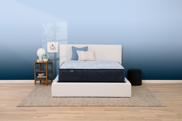 Perfect Sleeper 2023 Blue Lagoon Nights Plush Tight Top 13.5" Profile