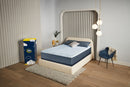 Splendid Slumber Medium 12"Profile