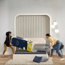 Renewed Relief Plush 12"Profile